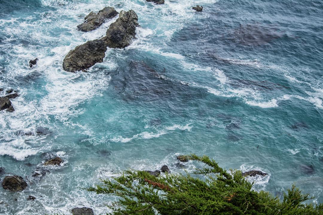 Ocean view